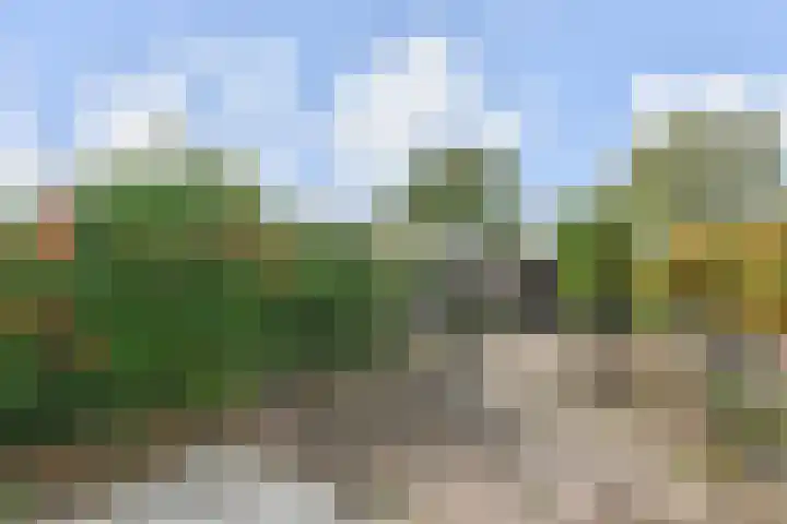 Regenboogsingel 49 Zoetermeer thumbnail 4
