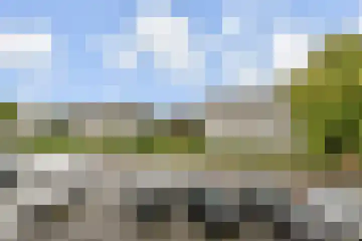 Regenboogsingel 49 Zoetermeer thumbnail 41