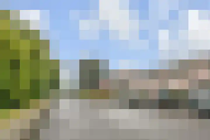 Regenboogsingel 49 Zoetermeer thumbnail 44