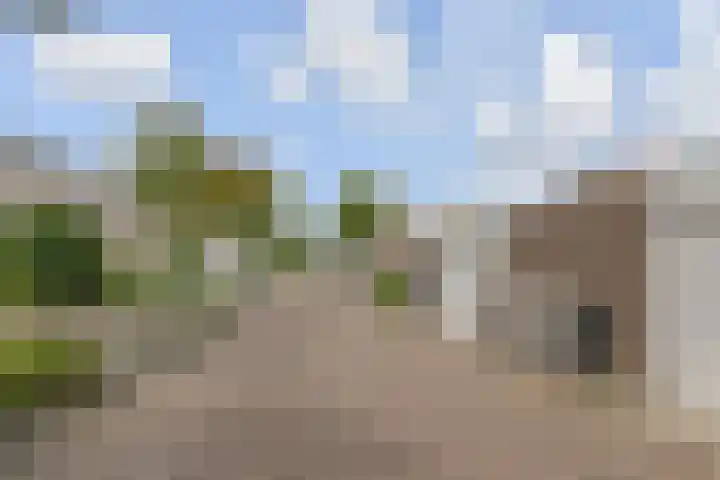 Regenboogsingel 49 Zoetermeer thumbnail 45
