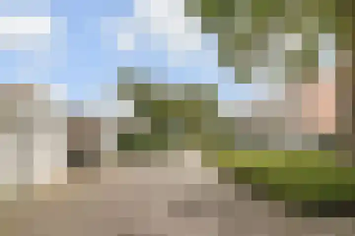 Regenboogsingel 49 Zoetermeer thumbnail 46
