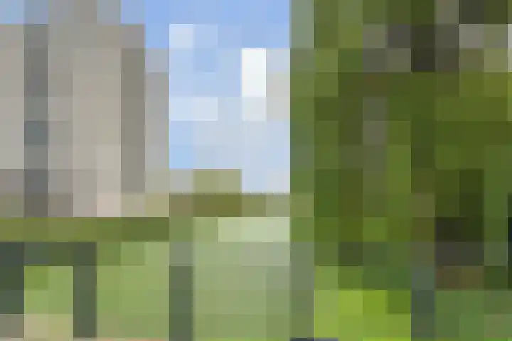 Regenboogsingel 49 Zoetermeer thumbnail 47
