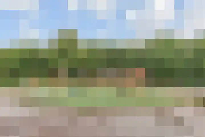 Regenboogsingel 49 Zoetermeer thumbnail 48