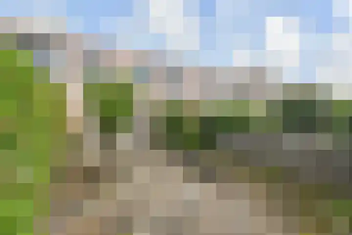 Regenboogsingel 49 Zoetermeer thumbnail 5
