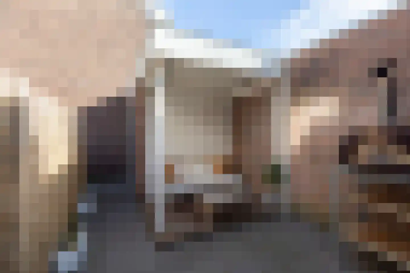Regenboogstraat 3 Sneek thumbnail 31