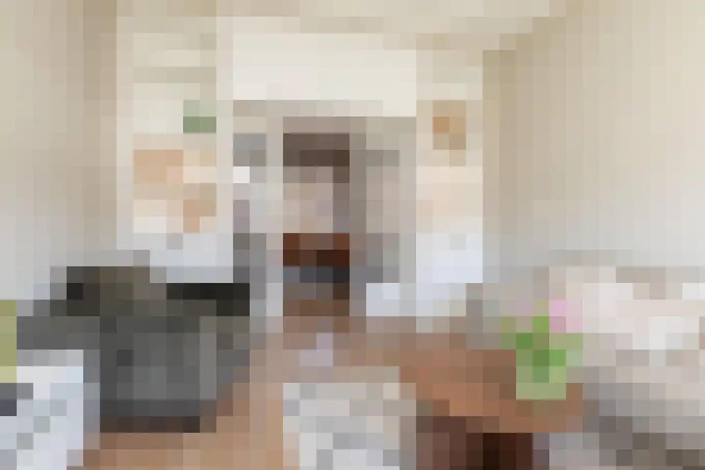 Regenboogstraat 3 Sneek thumbnail 4