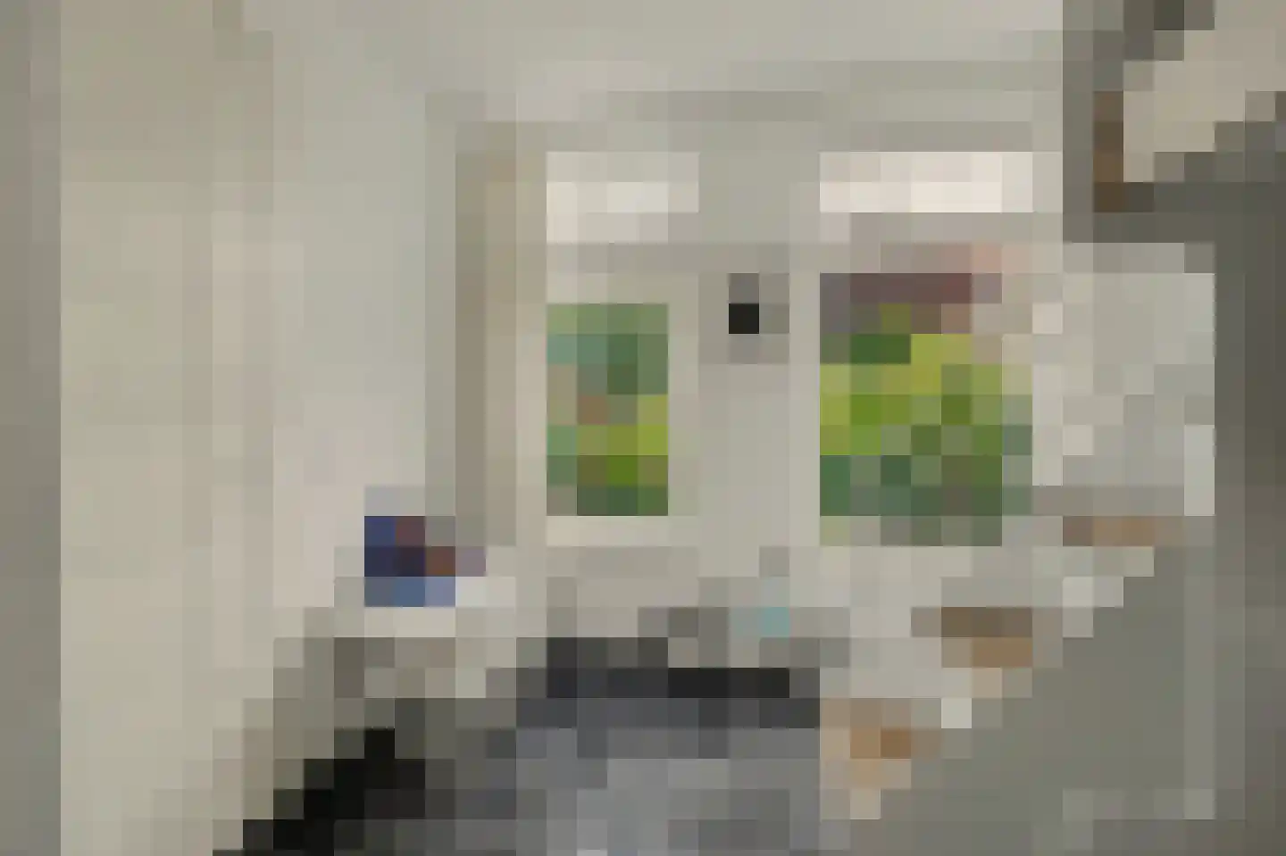 Regenboogstraat 37 Zierikzee thumbnail 36