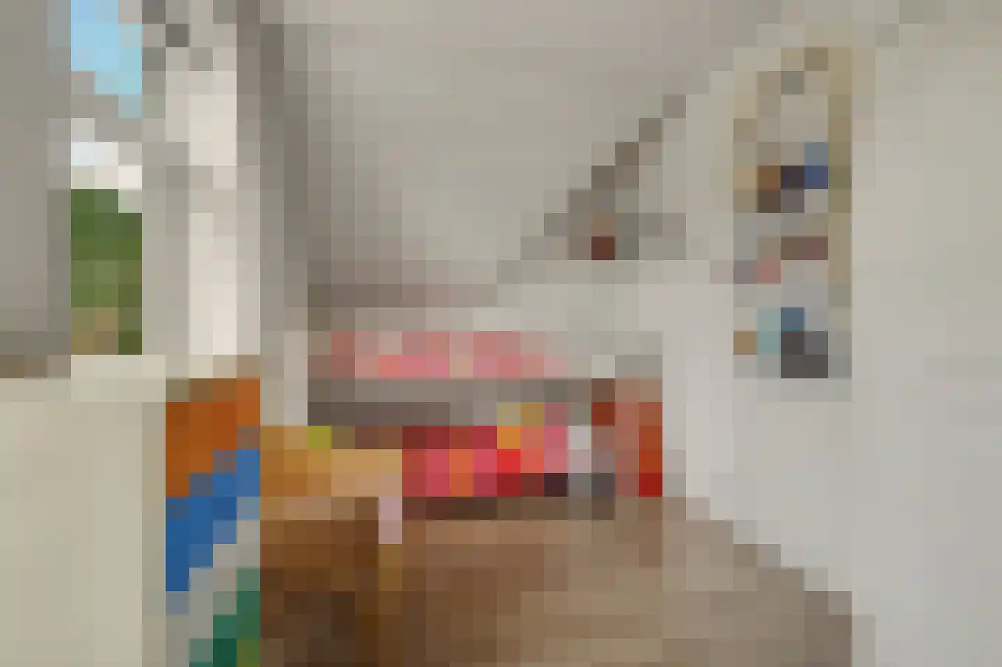 Regenboogstraat 37 Zierikzee thumbnail 42