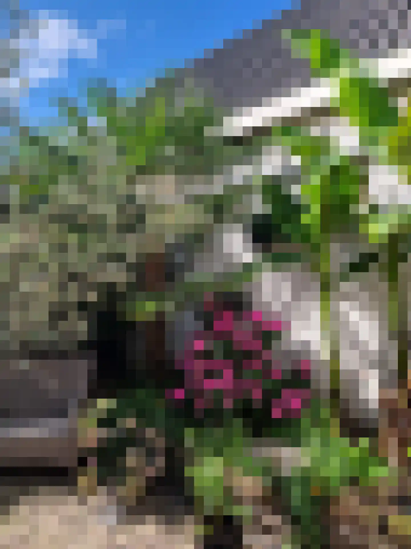 Regenboogstraat 4 Sneek thumbnail 27