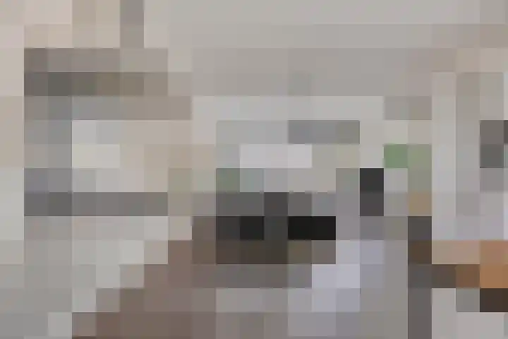 Regenboogven 115 Veldhoven thumbnail 10