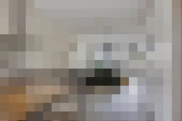 Regenboogven 115 Veldhoven thumbnail 11
