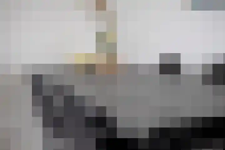 Regenboogven 115 Veldhoven thumbnail 14