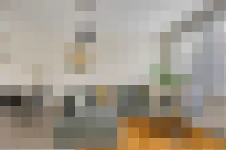 Regenboogven 115 Veldhoven thumbnail 18