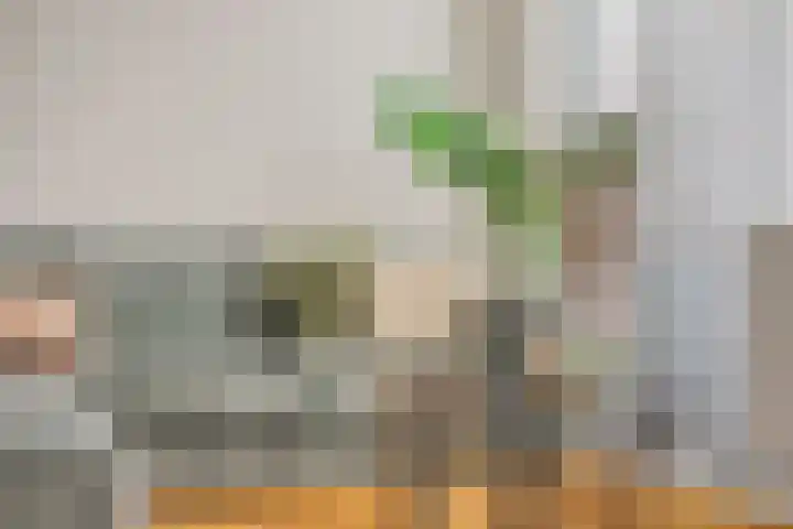 Regenboogven 115 Veldhoven thumbnail 19