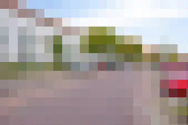 Regenboogven 115 Veldhoven thumbnail 33