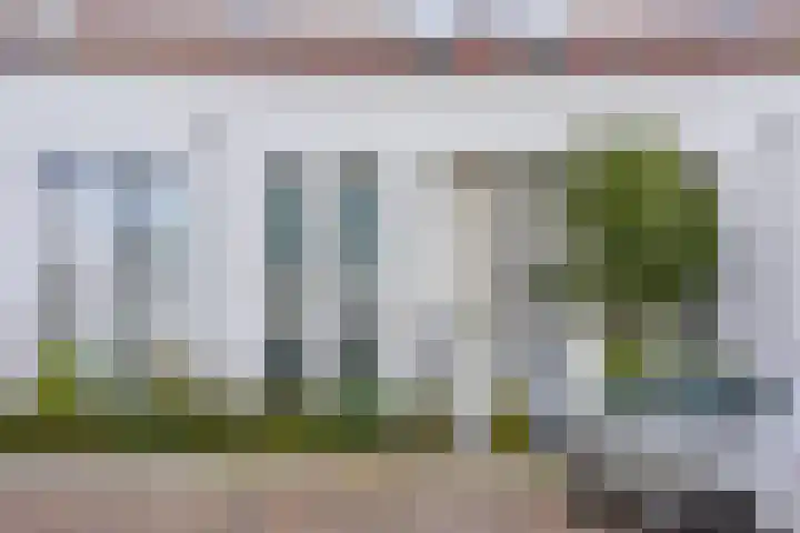 Regenboogven 115 Veldhoven thumbnail 4