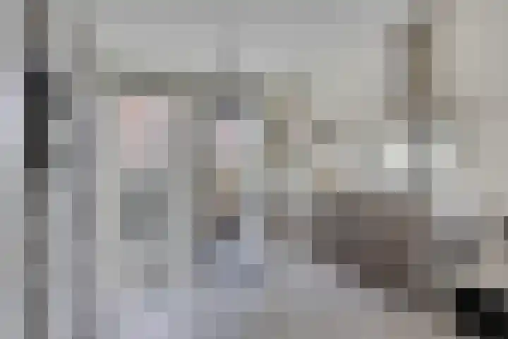 Regenboogven 115 Veldhoven thumbnail 7