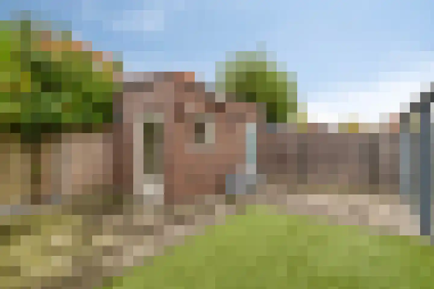 Regenboogven 31 Veldhoven thumbnail 44