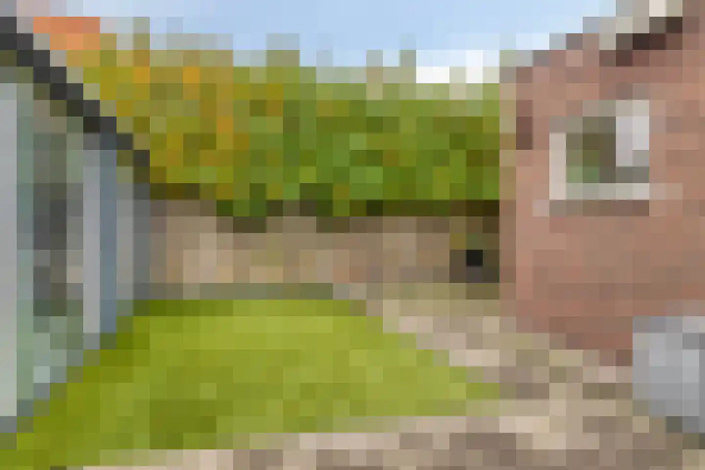 Regenboogven 31 Veldhoven thumbnail 45