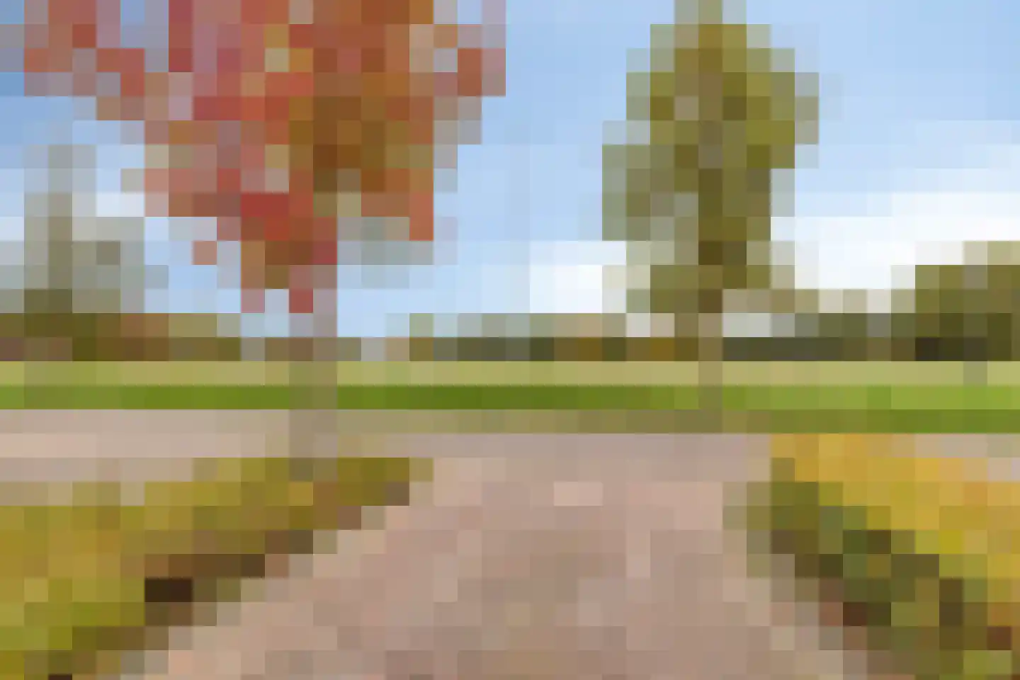 Regenboogven 31 Veldhoven thumbnail 49