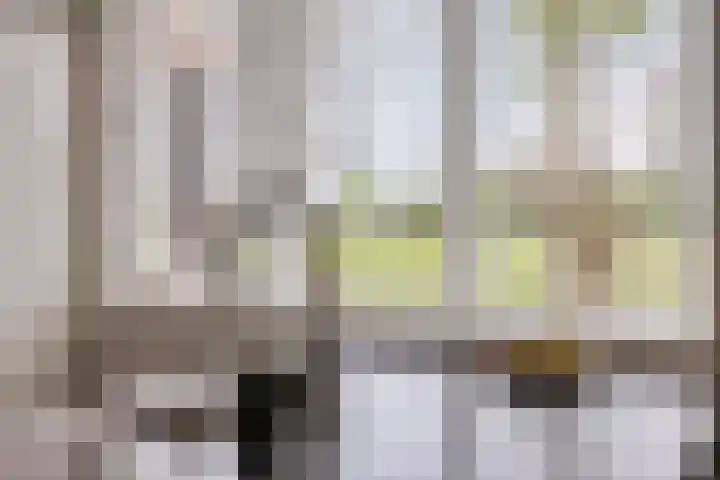 Regenboogven 33 Veldhoven thumbnail 10