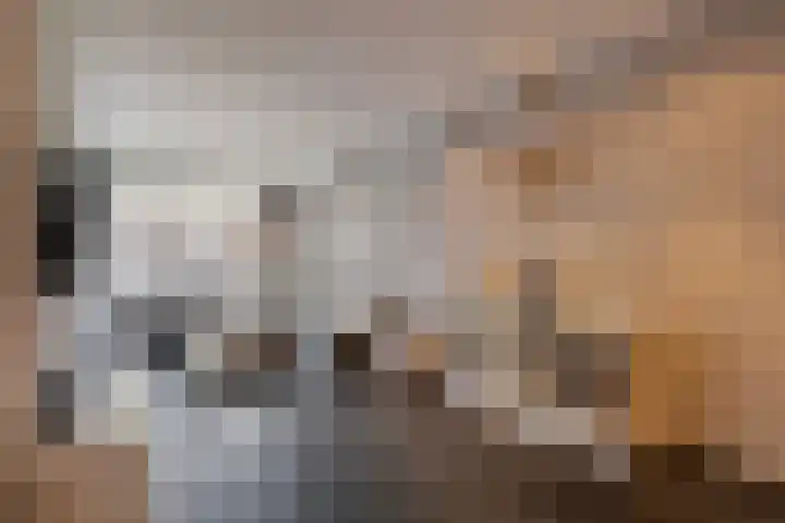 Regenboogven 33 Veldhoven thumbnail 15