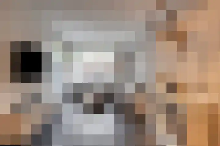 Regenboogven 33 Veldhoven thumbnail 16