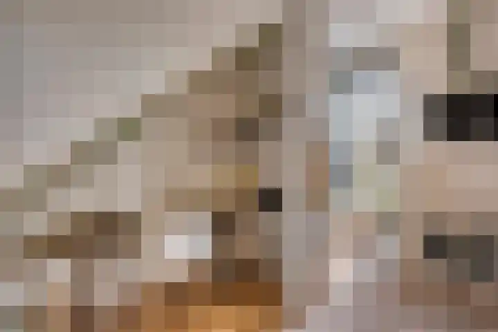 Regenboogven 33 Veldhoven thumbnail 24