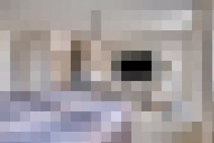 Regenboogven 33 Veldhoven thumbnail 35
