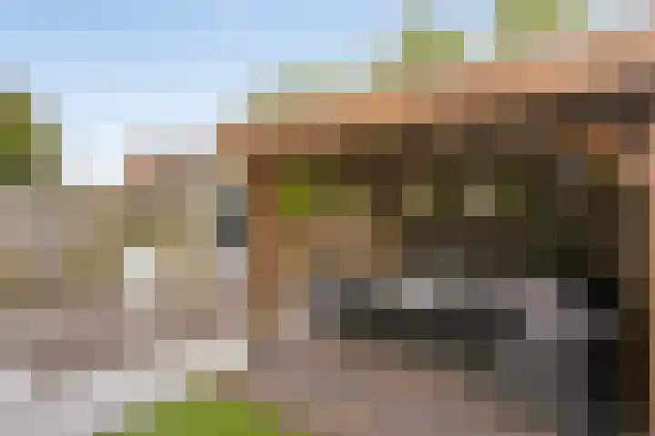 Regenboogven 33 Veldhoven thumbnail 39