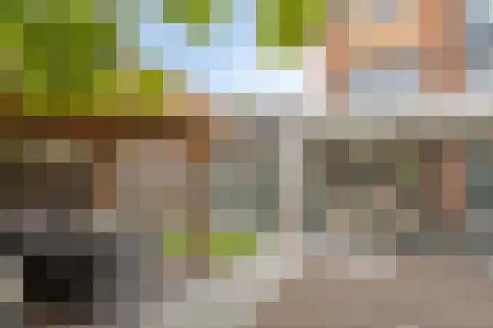Regenboogven 33 Veldhoven thumbnail 41