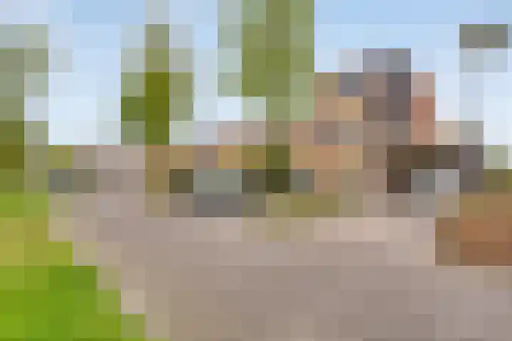 Regenboogven 33 Veldhoven thumbnail 43