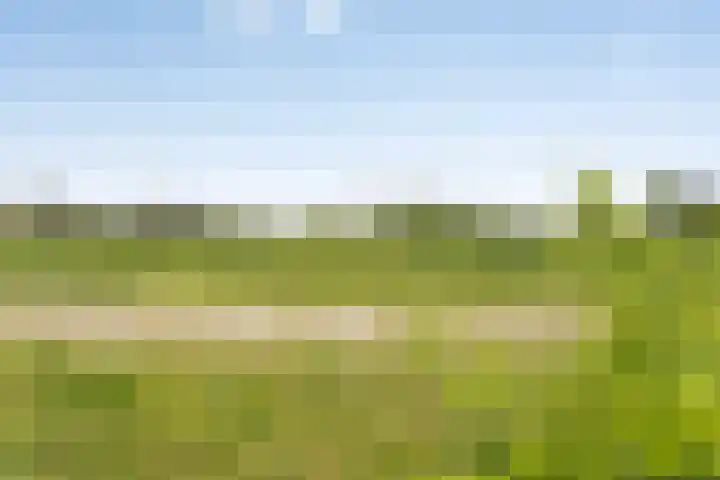 Regenboogven 33 Veldhoven thumbnail 44