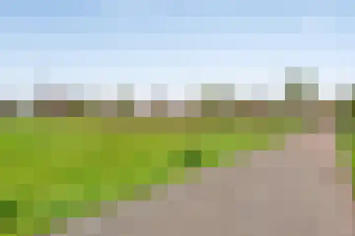 Regenboogven 33 Veldhoven thumbnail 45