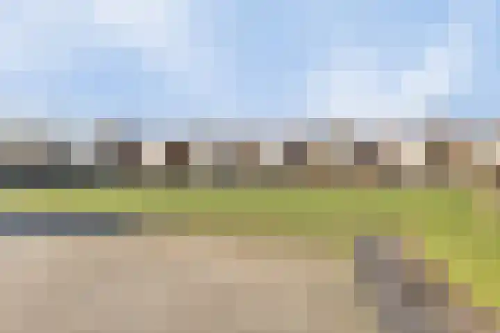 Regenboogven 33 Veldhoven thumbnail 46