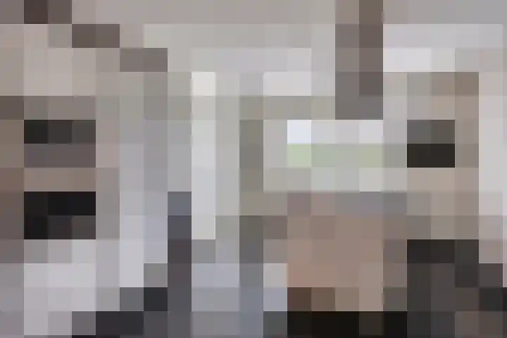 Regenboogven 33 Veldhoven thumbnail 9