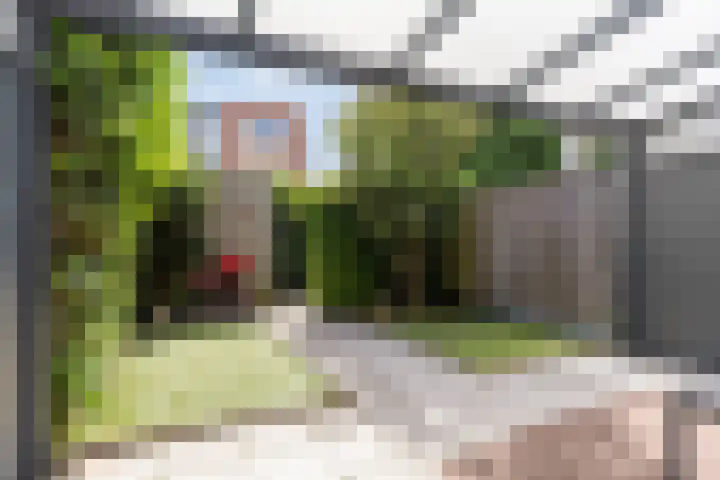 Regenboogven 35 Veldhoven thumbnail 17