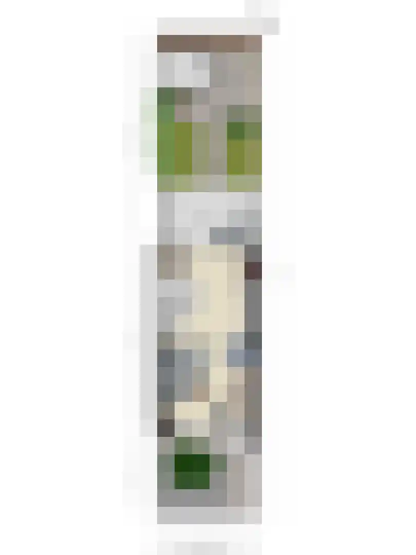 Regenboogven 35 Veldhoven thumbnail 24