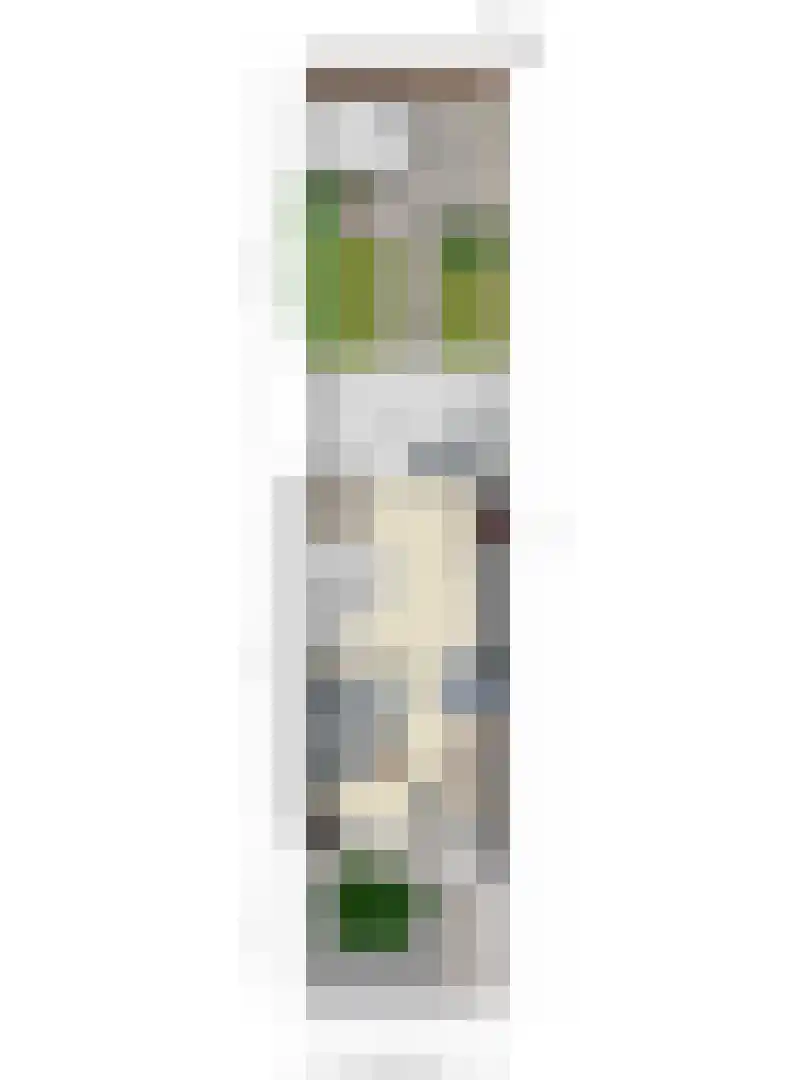 Regenboogven 35 Veldhoven thumbnail 24