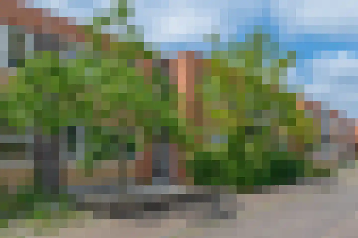 Regenboogven 63 Veldhoven thumbnail 45
