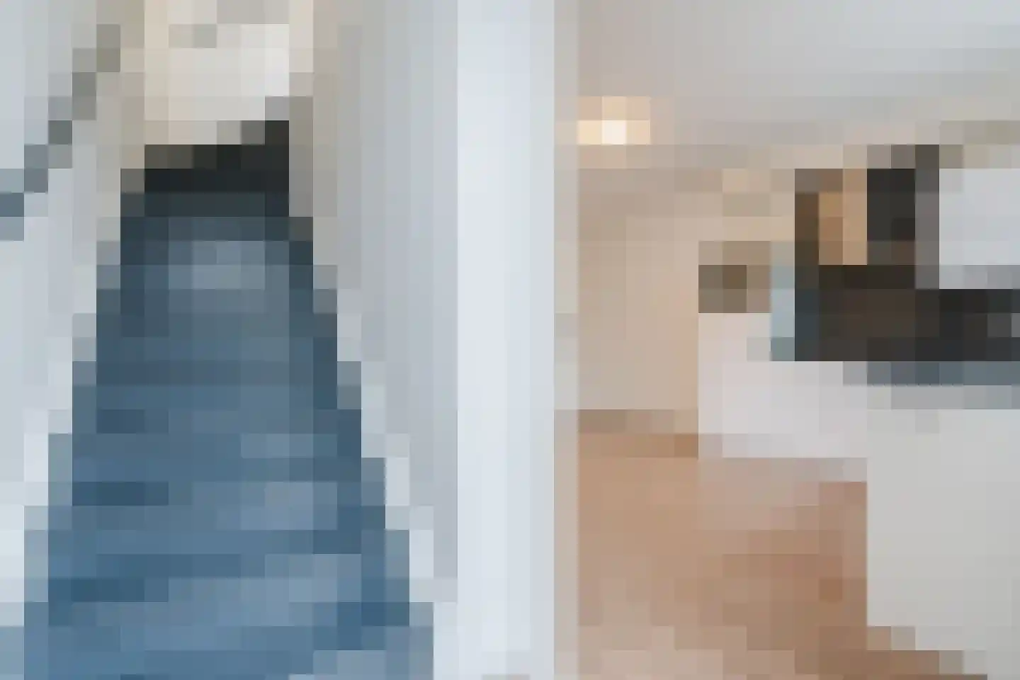 Regenboogven 65 Veldhoven thumbnail 13