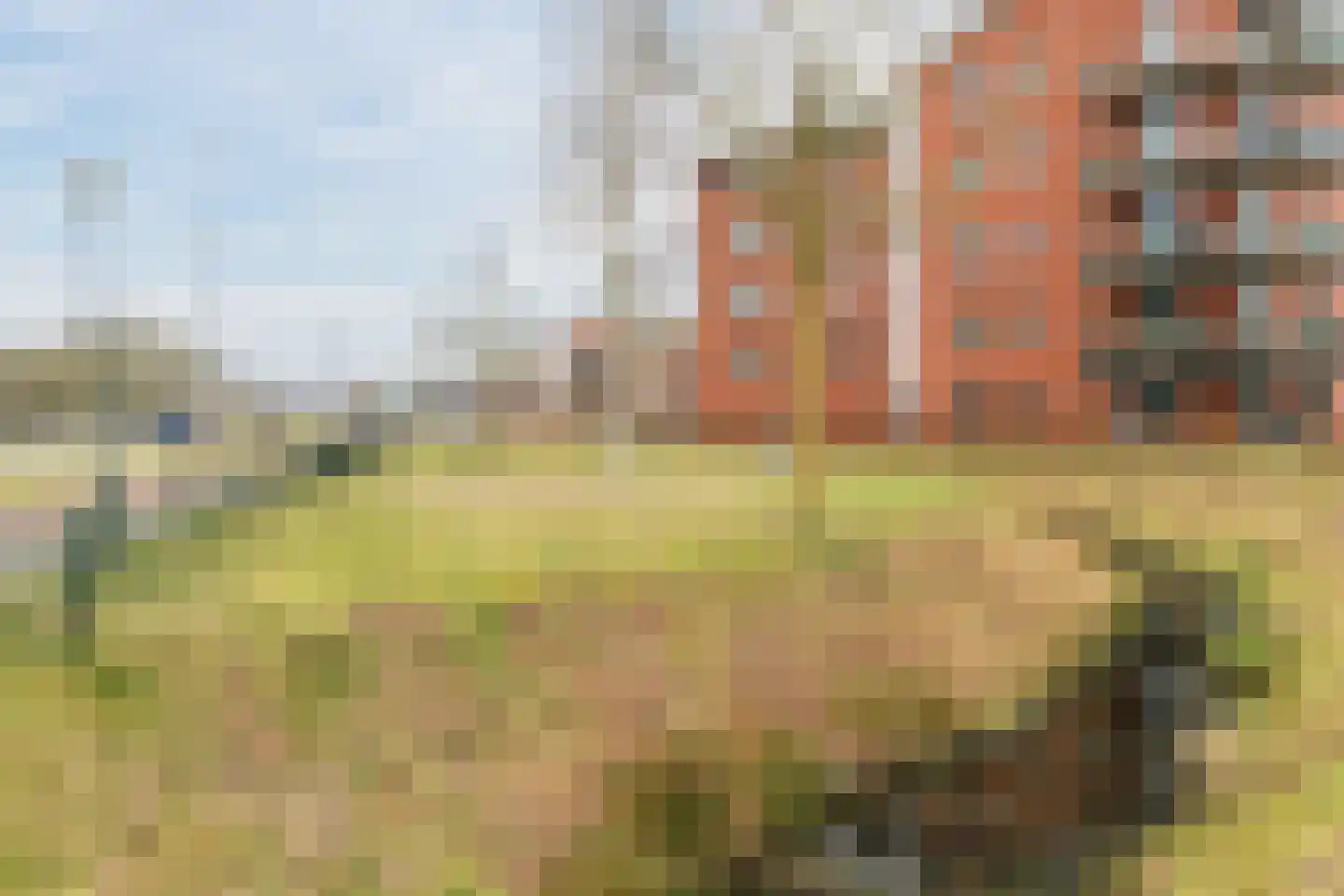 Regenboogven 65 Veldhoven thumbnail 29