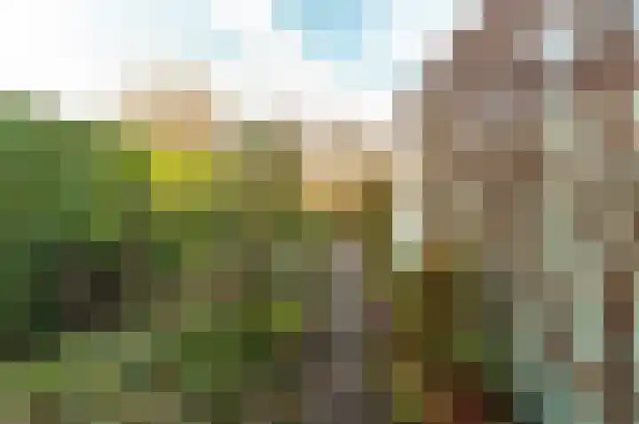 Regenboogweg 83 Almere thumbnail 31