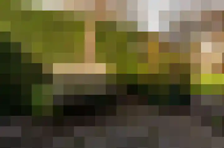 Regenboogweg 83 Almere thumbnail 33