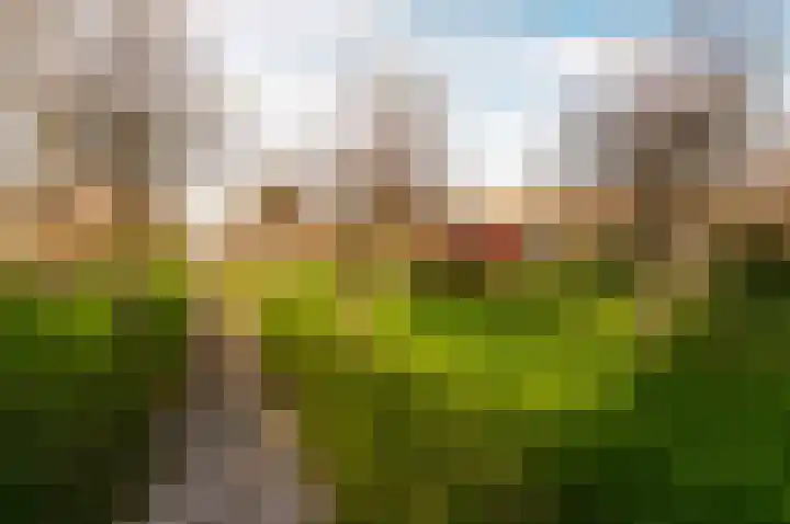Regenboogweg 83 Almere thumbnail 35