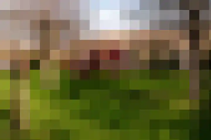 Regenboogweg 83 Almere thumbnail 36