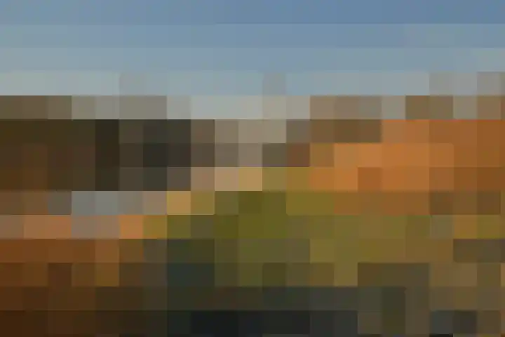Regenboogweg 83 Almere thumbnail 44