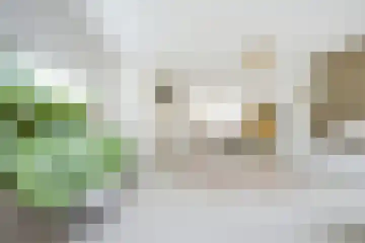Regenmeer 1 Houten thumbnail 10