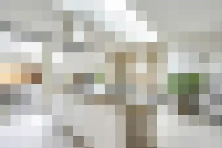 Regenmeer 1 Houten thumbnail 13