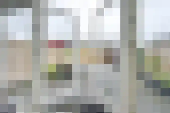 Regenmeer 1 Houten thumbnail 15